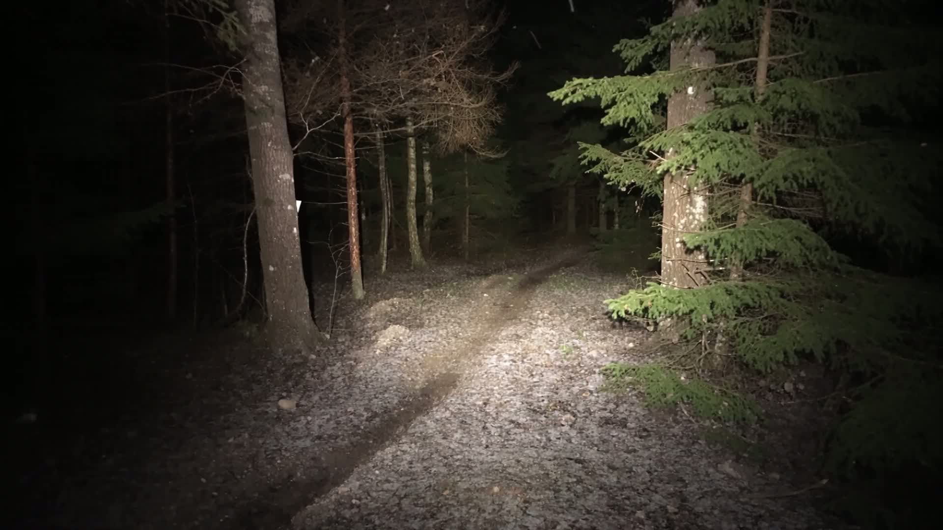 Pannlampans sensor i användning